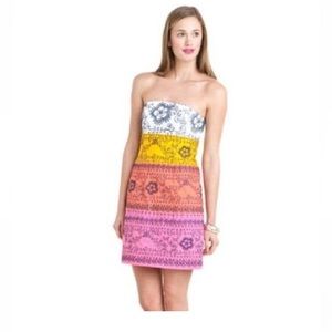 Lilly Pulitzer Embroidered Colorblock Bowen Dress in Bird is the Word, 10